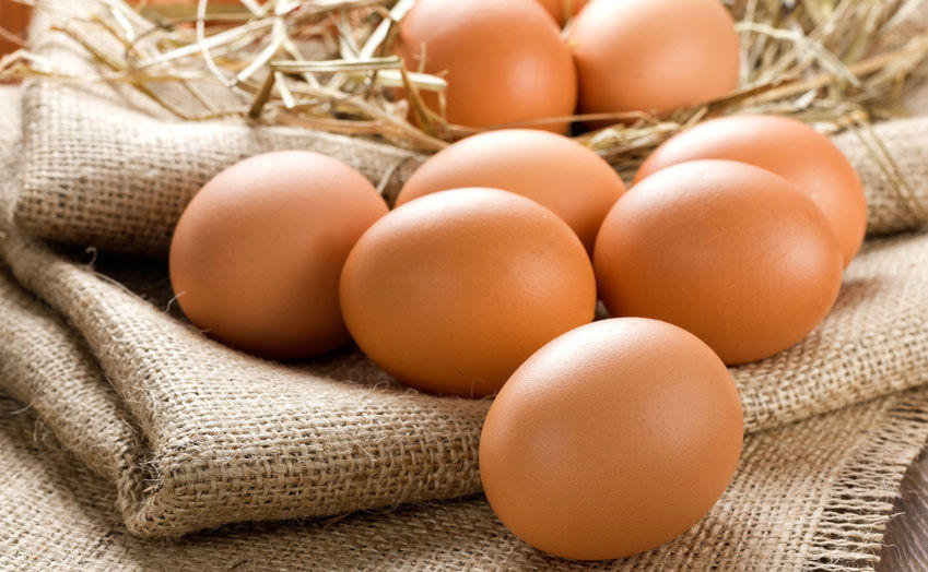 Ovos são ótimas fontes de proteína